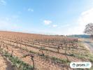Annonce Vente Terrain Belarga