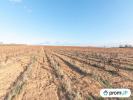 Acheter Terrain Belarga Herault