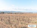 Acheter Terrain Belarga 94000 euros