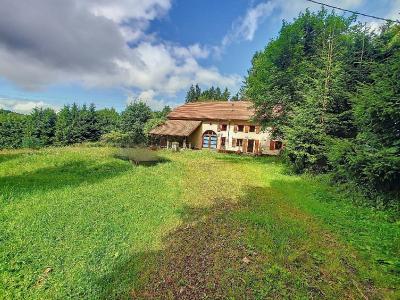 photo For sale House SAINT-STAIL 88
