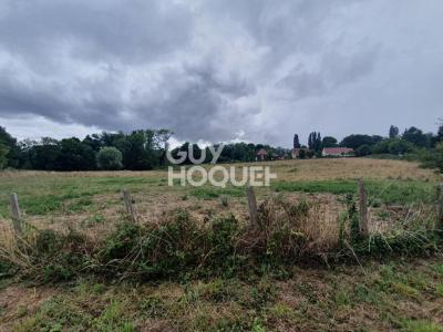 photo For sale Land CHARBUY 89