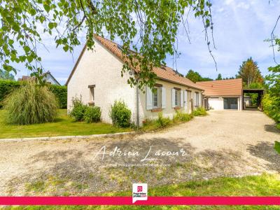 photo For sale House PRUNIERS-EN-SOLOGNE 41