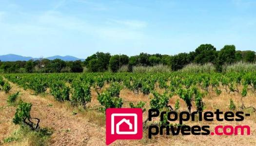 photo For sale House VIDAUBAN 83