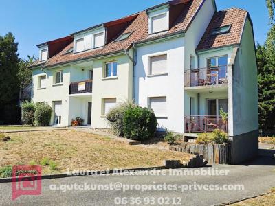 Location Appartement 3 pièces HOCHFELDEN 67270