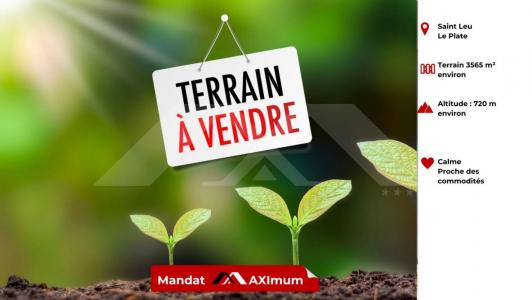 Vente Terrain PLATE  974