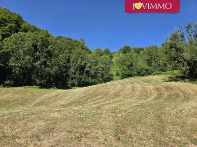 photo For sale House ARBEOST 65