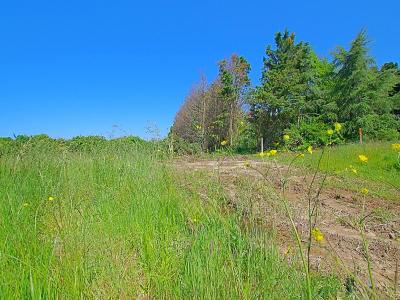 For sale Land ILE-D'OLONNE  85