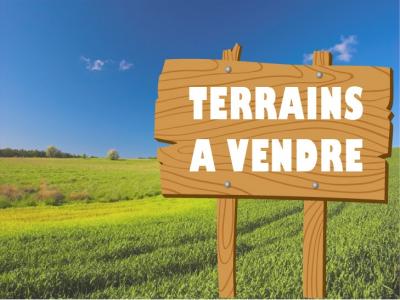 Vente Terrain VENERQUE 31810