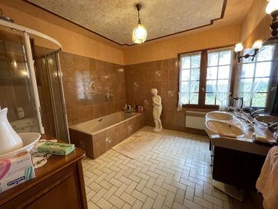 Vente Maison SELLE-SUR-LE-BIED 