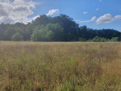 Vente Terrain CASTELNAU-DE-MEDOC  33