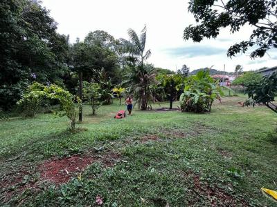 Vente Terrain REMIRE-MONTJOLY  973