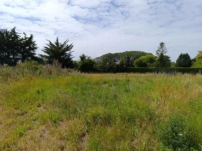 Vente Terrain FREHEL  22