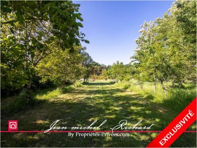 Vente Terrain CHEMERY LE-CONTROIS-EN-SOLOGNE 41