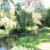 House BOUZY-LA-FORET 