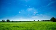 Vente Terrain Bras  83149 15720 m2