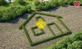 Annonce Vente Terrain Charost