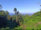 For sale Land Avirons  97425