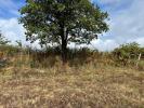 Acheter Terrain 1306 m2 Vue