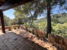 House MOTTE 