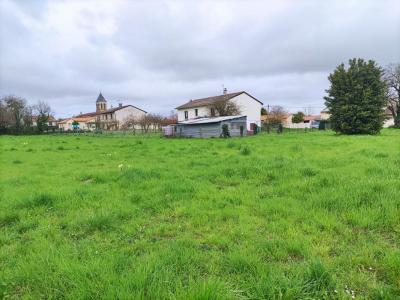 photo For sale Land CHAMPAGNE-SAINT-HILAIRE 86