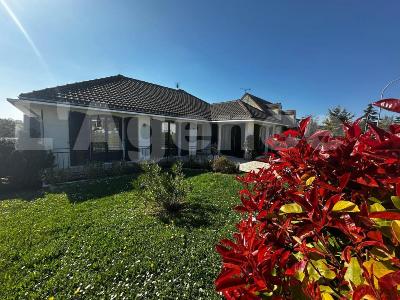 Vente Maison 6 pices NOISEAU 94880