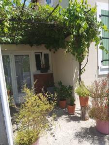 For rent Apartment MORIGNY-CHAMPIGNY  91