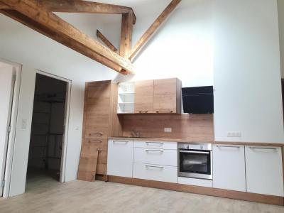 For rent Apartment ROANNE  42
