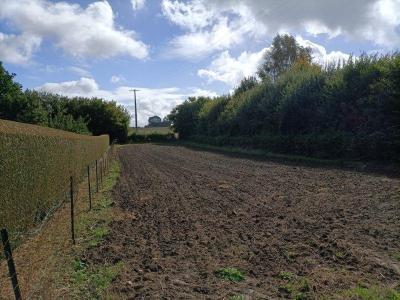 photo For sale Land GANDELAIN 61