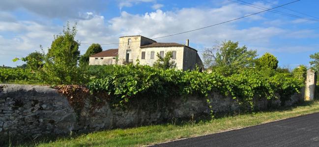 Vente Domaine agricole BLAYE 33390