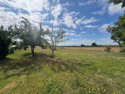 For sale House LONGUEVILLE  47