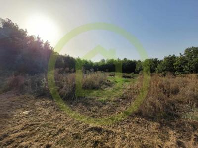 Vente Terrain SAINT-SORLIN-DE-CONAC  17