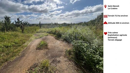 photo For sale Land SAINT-BENOIT 974