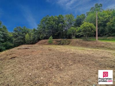 photo For sale Land CHAMPAGNEY 70
