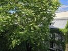 Apartment PARIS-6EME-ARRONDISSEMENT 