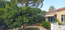 Acheter Maison 142 m2 Saint-felix-de-lodez