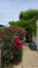 Annonce Vente 8 pièces Maison Aix-les-bains