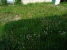 Acheter Maison Ostricourt 95000 euros
