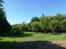 Acheter Terrain Cleguerec 15990 euros