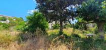 Acheter Maison 105 m2 Puissalicon