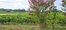 Acheter Domaine agricole 32767 m2 Blaye