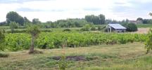 Acheter Domaine agricole Blaye Gironde