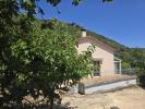 House  CEVENNES MERIDIONALES