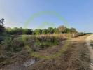 Acheter Terrain 3240 m2 Saint-sorlin-de-conac
