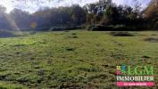 Land SEGURA 
