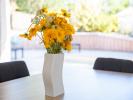 House GUJAN-MESTRAS 