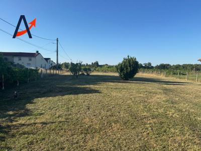 Vente Terrain MAZION 33390