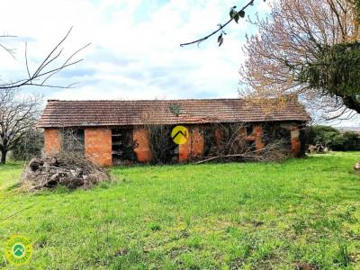 photo For sale House BELVES 24