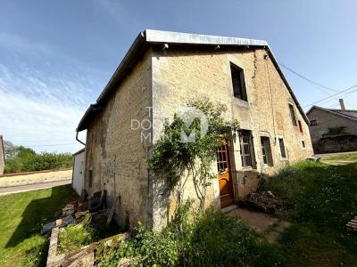 photo For sale House MARNAY-SUR-MARNE 52