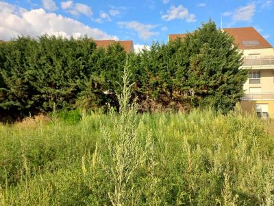 photo For sale Land SAINT-REMY 71