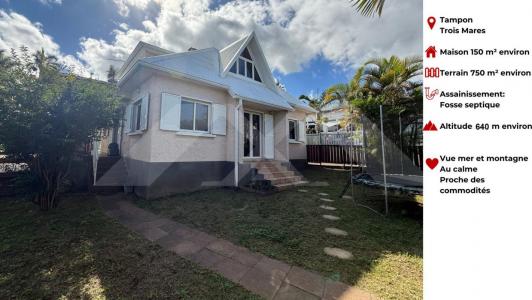 photo For sale House TAMPON 974